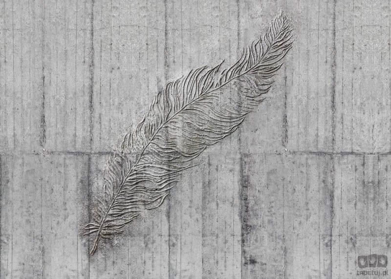 Fototapeta Concrete Feather X7-1023