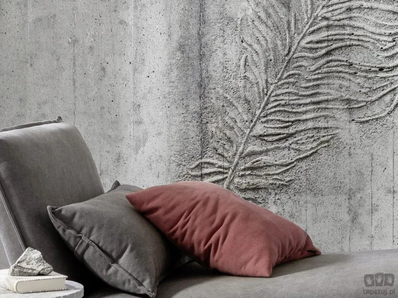 Fototapeta Concrete Feather X7-1023