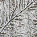 Fototapeta Concrete Feather X7-1023