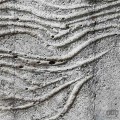 Fototapeta Concrete Feather X7-1023