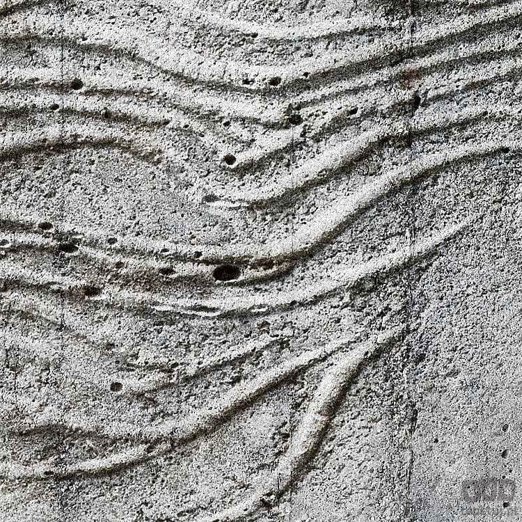 Fototapeta Concrete Feather X7-1023