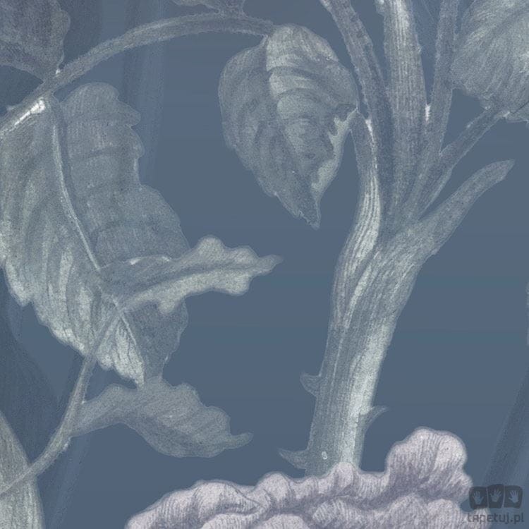 Fototapeta Merian Blue X7-1041