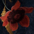Fototapeta Amsterdam Flowers X7-1044
