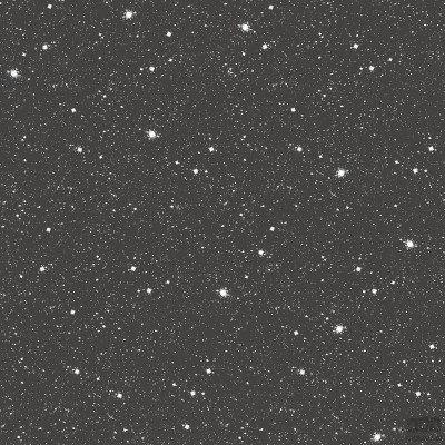 Tiny Tots 2 G78407 tapeta ścienna Galerie
