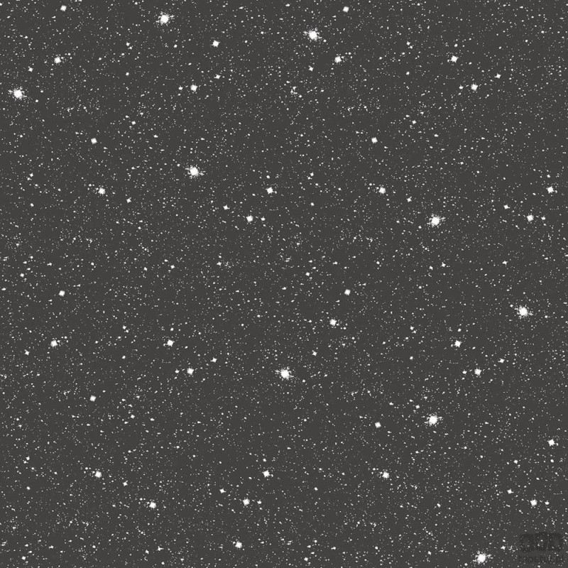 Tiny Tots 2 G78407 tapeta ścienna Galerie