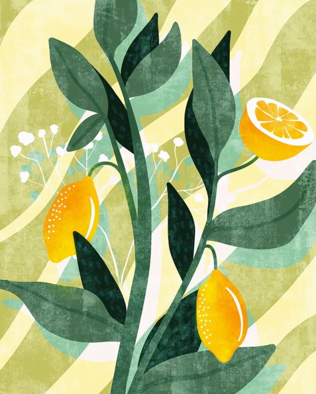 Fototapeta Lemon Fresh LJX4-015