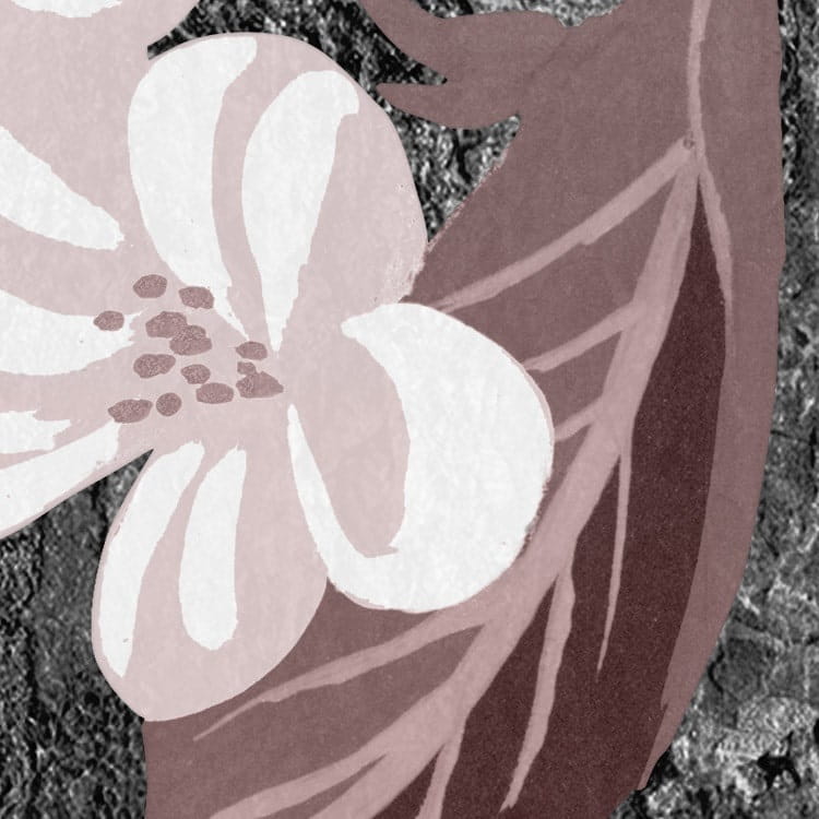 Fototapeta Moonlight Flowers  LJX4-017