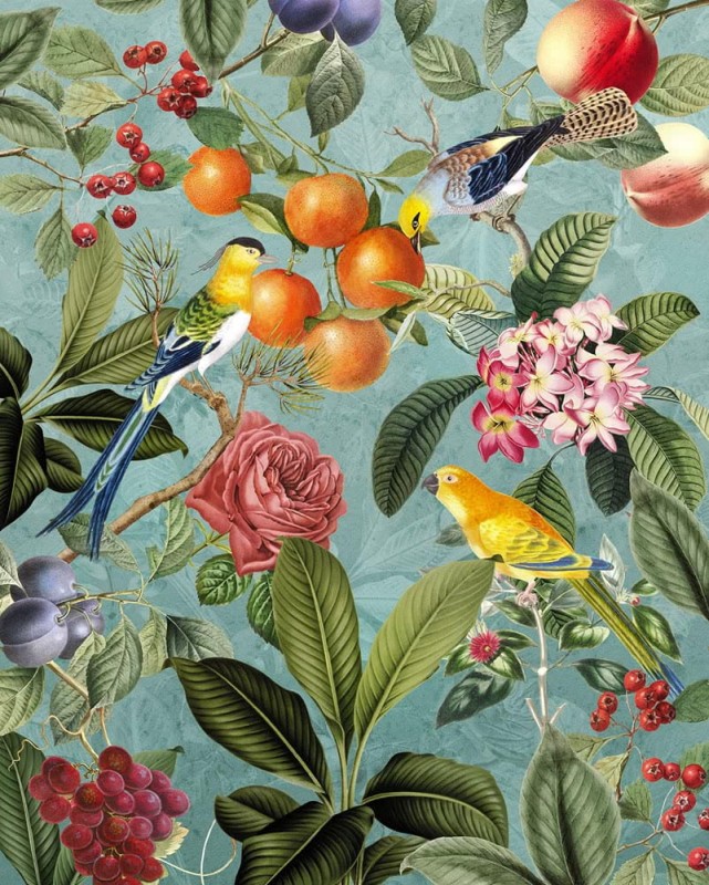 Fototapeta Birds and Berries LJX4-018