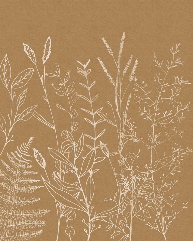 Fototapeta Herbs Garden LJX4-021