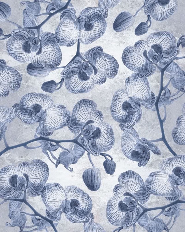 Fototapeta Orchidée LJX4-022
