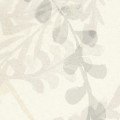 Fototapeta Herbarium LJX4-024