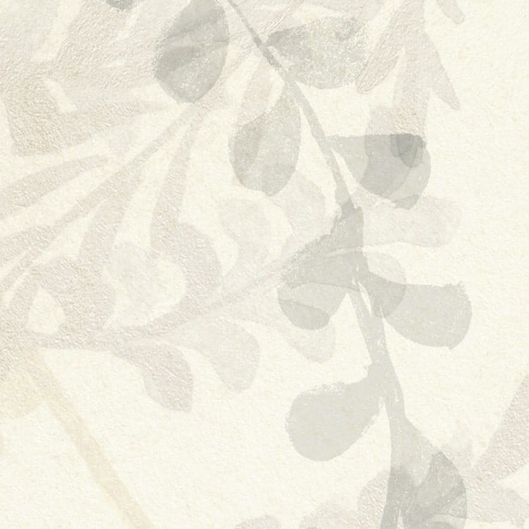 Fototapeta Herbarium LJX4-024