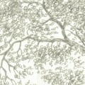 Fototapeta Noble Trees  LJX4-025