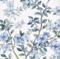 Fototapeta Bleu Ciel LJX5-006