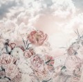 Fototapeta Blossom Clouds LJX5-007