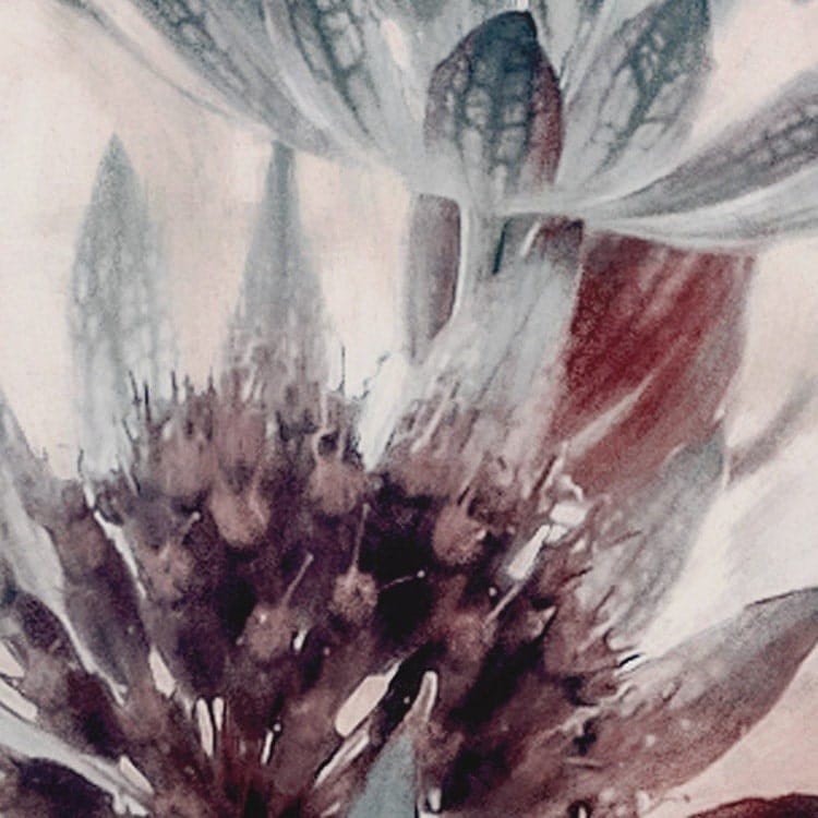 Fototapeta Blossom Clouds LJX5-007