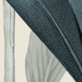Fototapeta Naïve LJX6-032