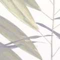 Fototapeta Bamboo Paradise LJX6-034