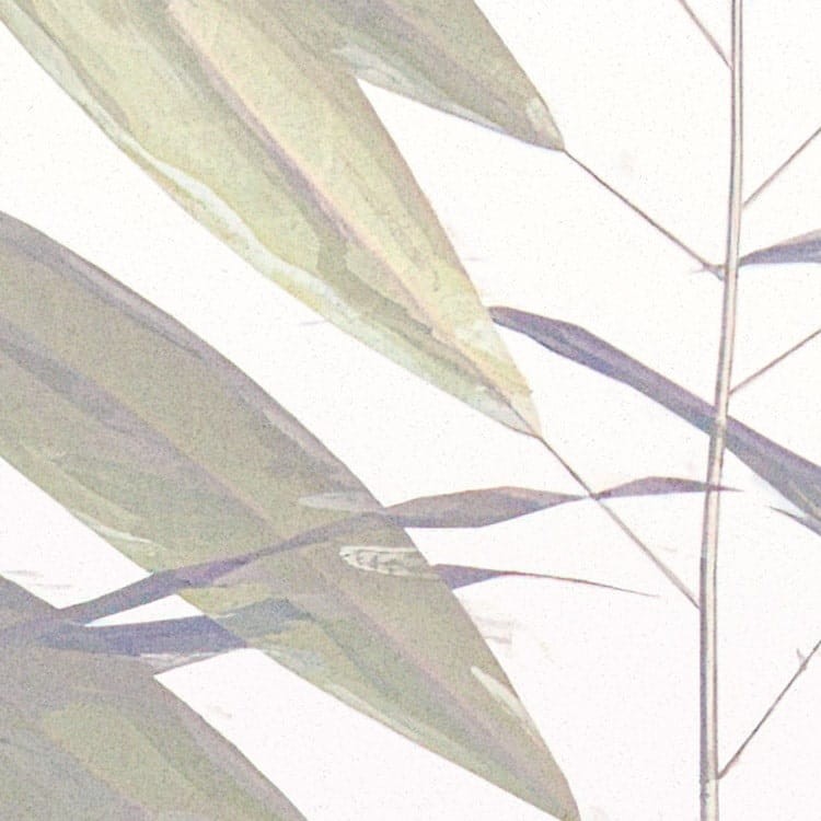 Fototapeta Bamboo Paradise LJX6-034