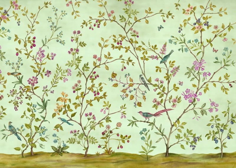 Fototapeta Oiseaux du Paradis LJX7-040