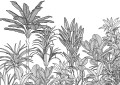 Fototapeta Savanna LJX7-048