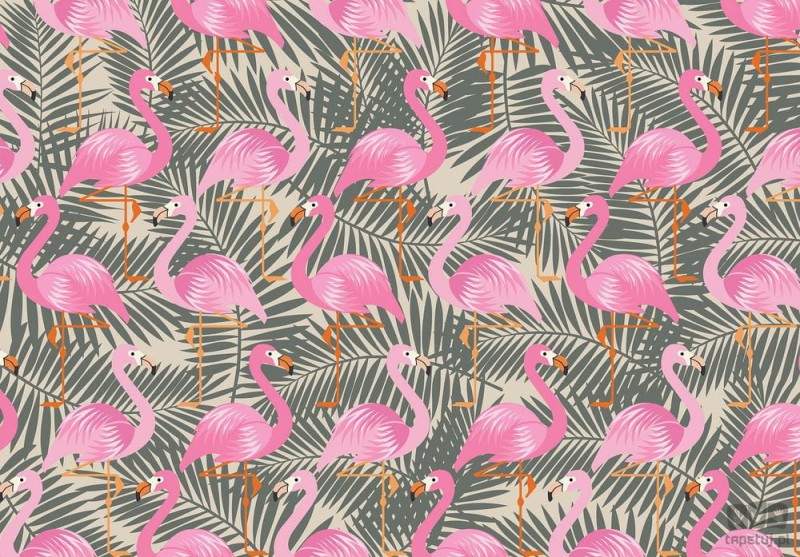 Fototapeta flamingi i szare liście palmy