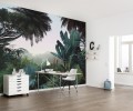 Fototapeta Jungle Morning LJX8-060