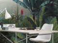 Fototapeta Jungle Morning LJX8-060