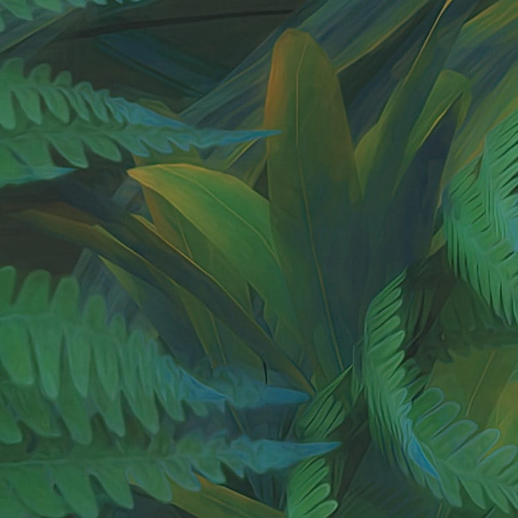 Fototapeta Jungle Morning LJX8-060