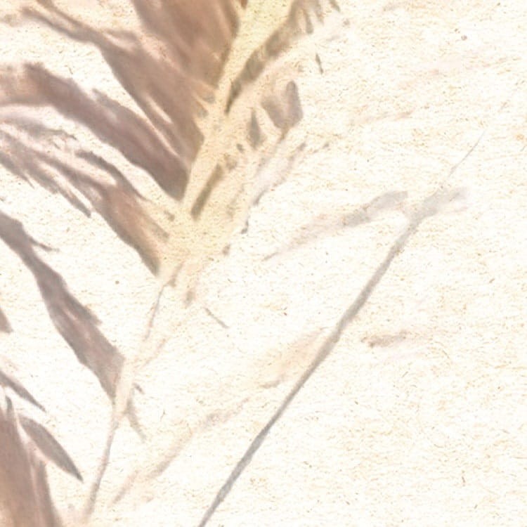 Fototapeta Dune Grass LJX8-063