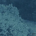 Fototapeta Twilight P010-VD4