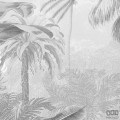 Fototapeta Amazonia Black and White P013-VD4