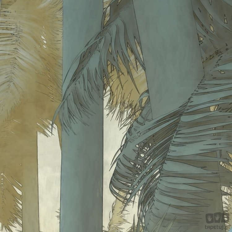 Fototapeta Misty Jungle P015-VD4