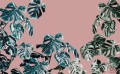 Fototapeta Monstera Rosé P016-VD4