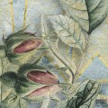 Fototapeta La Rosa P020-VD2