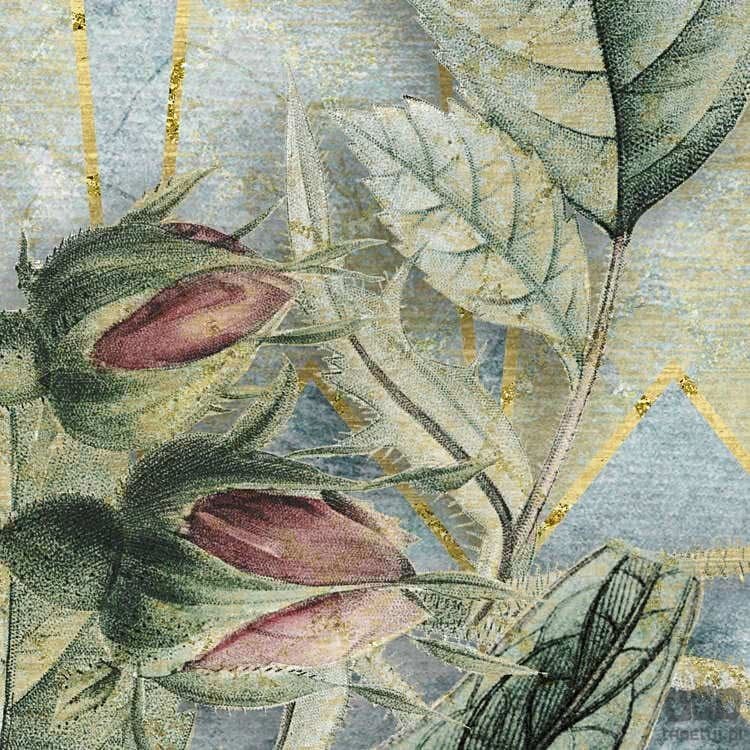 Fototapeta La Rosa P020-VD2