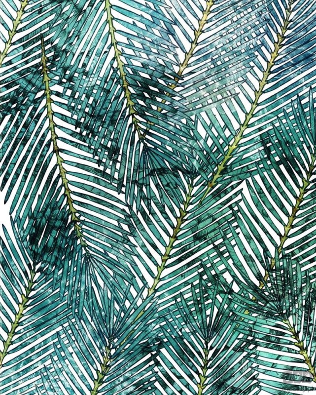 Fototapeta Palm Canopy P025-VD2