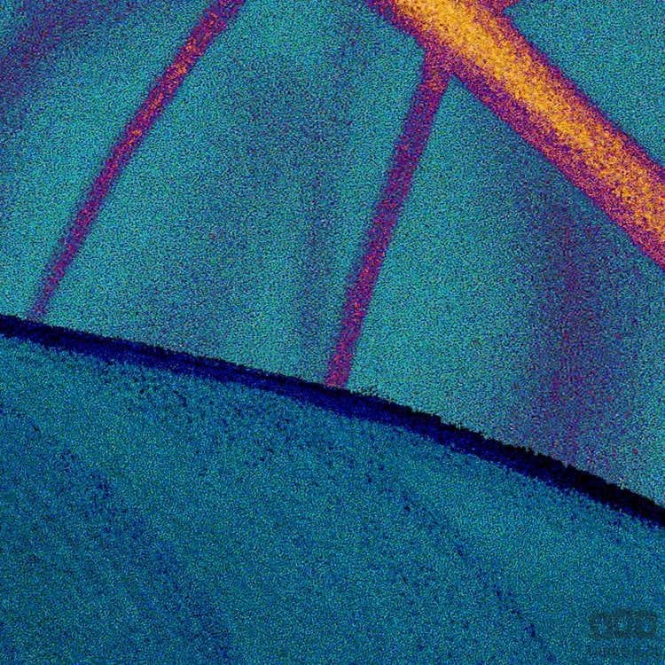 Fototapeta Foliage P026-VD2