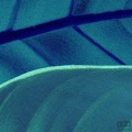 Fototapeta Foliage P026-VD2