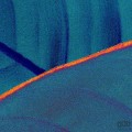 Fototapeta Foliage P026-VD2