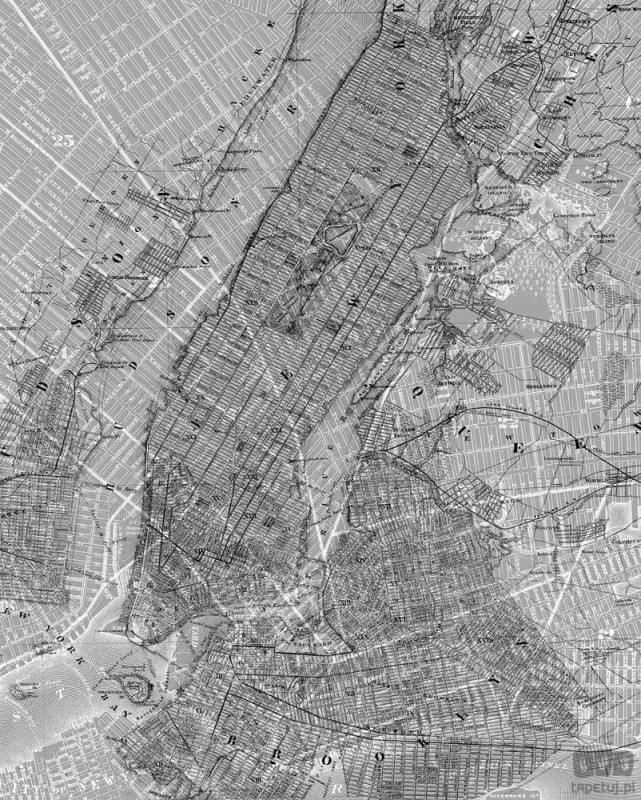 Fototapeta NYC Map P033-VD2