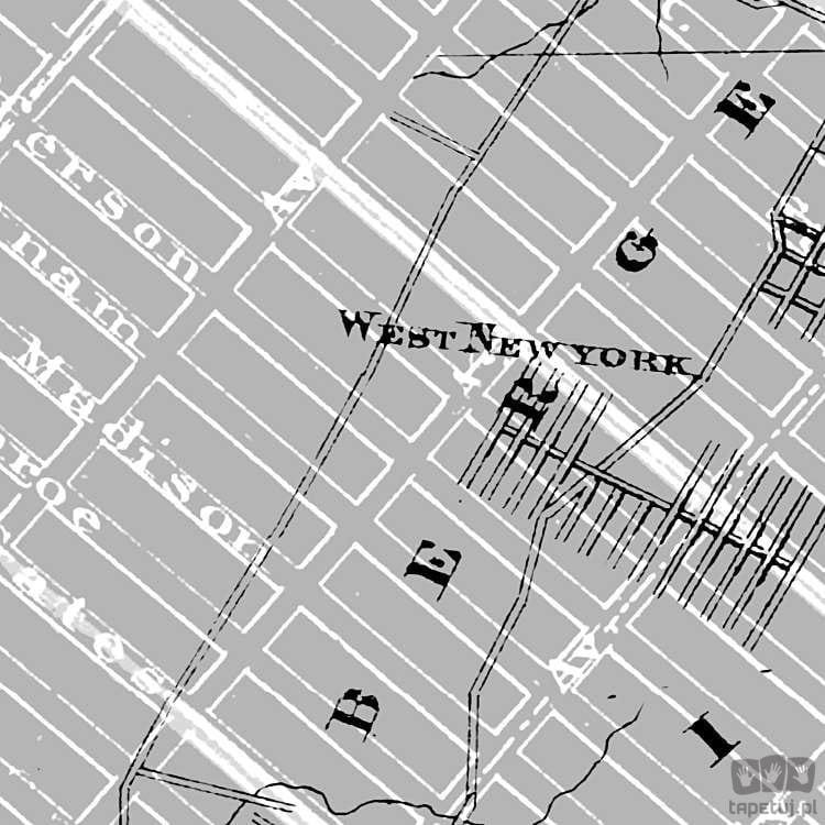 Fototapeta NYC Map P033-VD2
