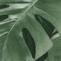 Fototapeta Monstera on Marble P035-VD2