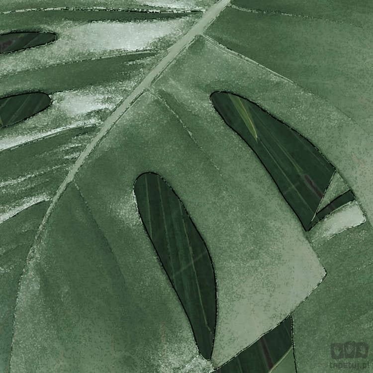Fototapeta Monstera on Marble P035-VD2