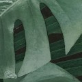 Fototapeta Monstera on Marble P035-VD2