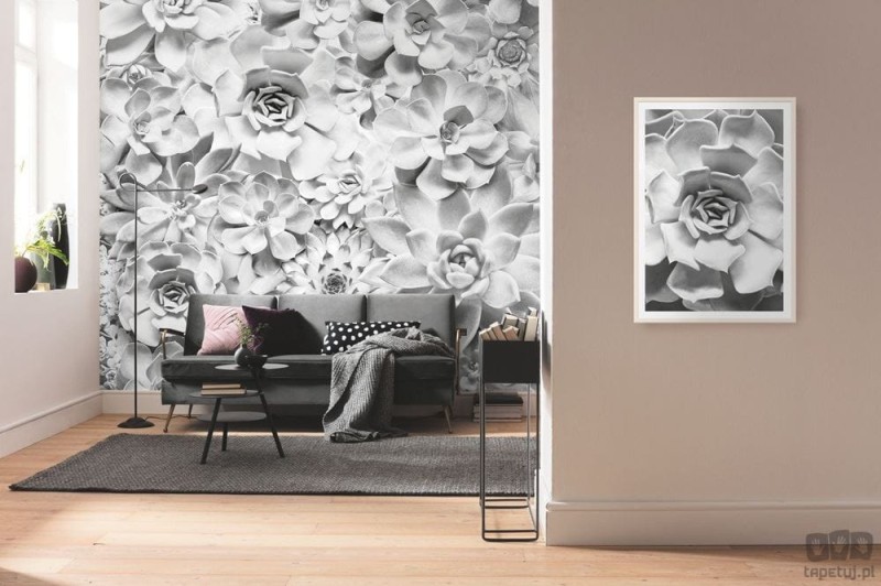 Fototapeta Shades Black and White P962-VD4