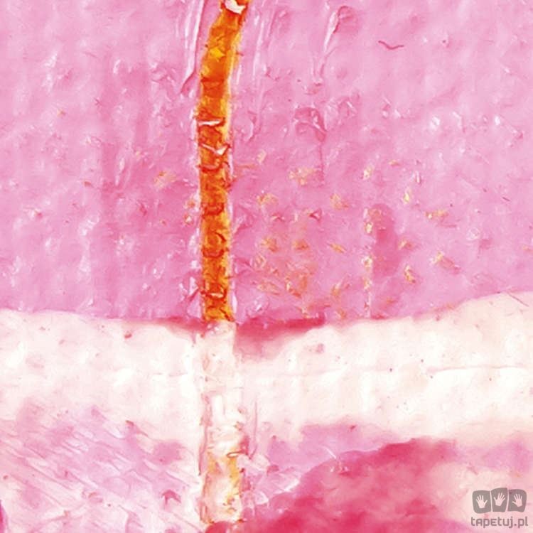 Fototapeta Cells Wrapping PRH-0158