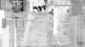 Fototapeta Rhombus Hiding PRH-0800