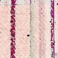 Fototapeta Horizon Blazing PRH-0819