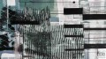 Fototapeta Fringe Upswept PRH-0864